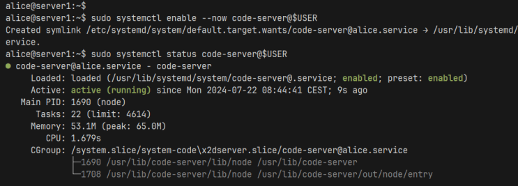 Code-Server starten und verifizieren