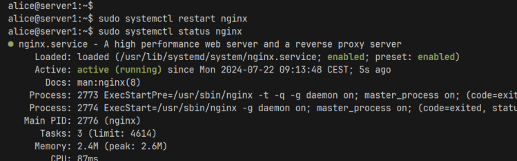 nginx prüfen