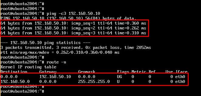 Ping zum Vyos-Router