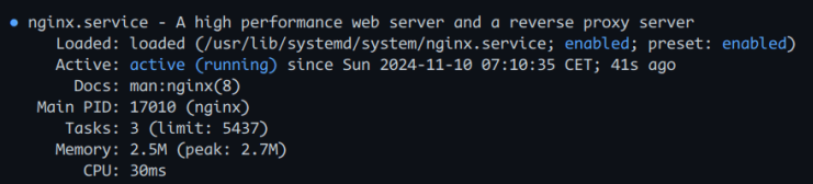 nginx prüfen