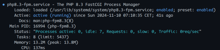 php-fpm prüfen