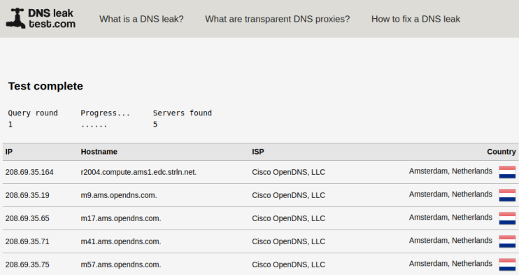 DNS-Leck-Standardtest