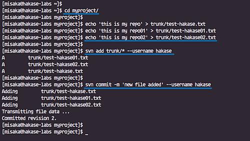 Dokumente in svn übertragen