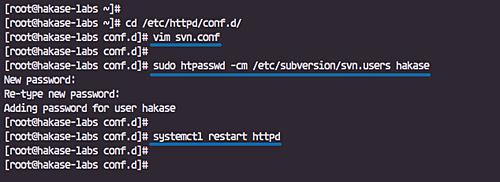 Konfigurieren der Datei svn.conf