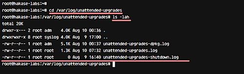 Überprüfen Sie aktualisierte Pakete