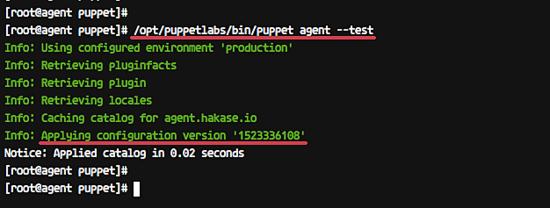 Überprüfen Sie die Konfiguration des Puppenspielers.