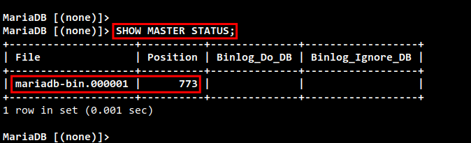Master-Status auf Master2 prüfen