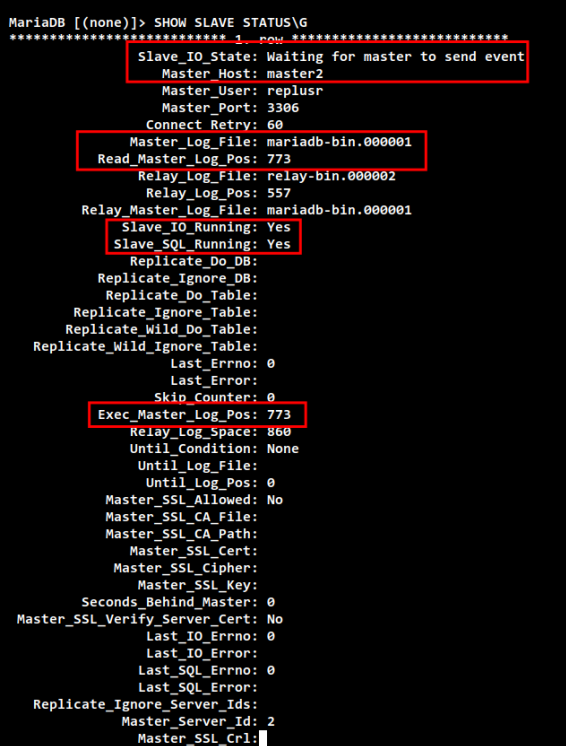 Status prüfen master1