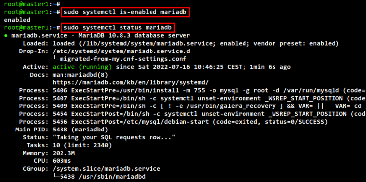 mariadb-Dienst prüfen