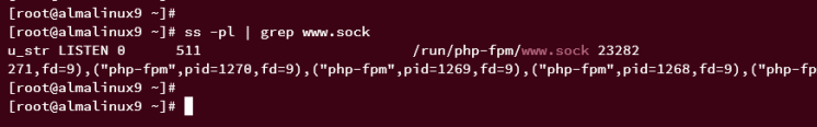 php-fpm-Socke prüfen