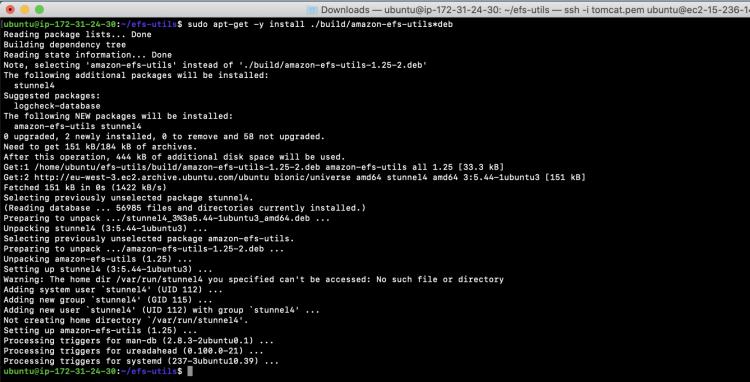 efs-Treiber installieren
