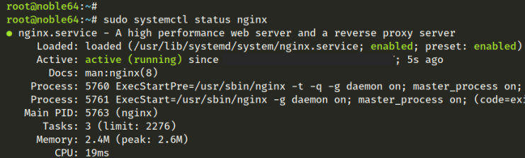 nginx prüfen