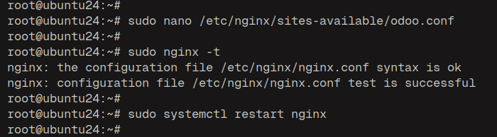 nginx prüfen