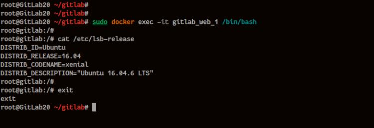 Anmeldung zum GitLab-Container