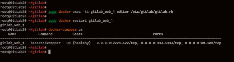 GitLab-Behälter konfigurieren