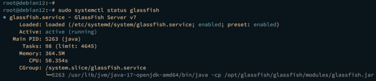 glassfish service überprüfen