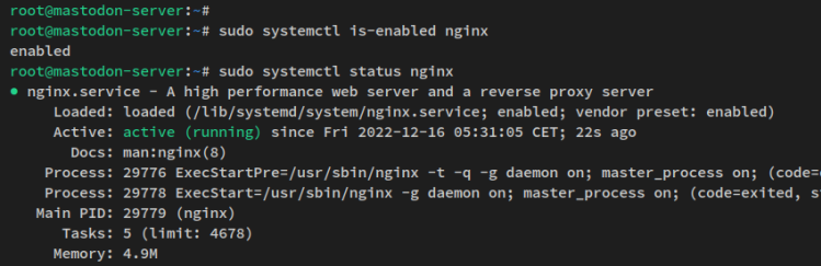 nginx verifizieren