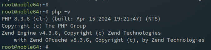 php-Version prüfen