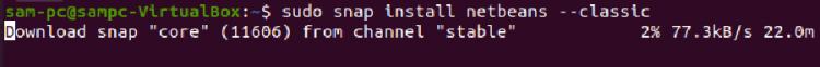 Installation von Netbeans über Snap