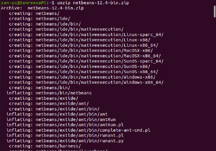 Entpacke das Netbeans-Archiv mit dem Befehl unzip