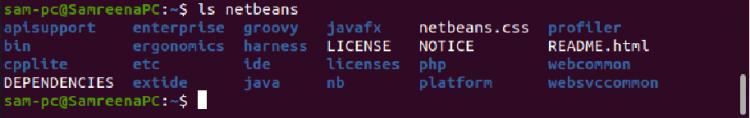 Netbeans-Verzeichnisinhalte auflisten