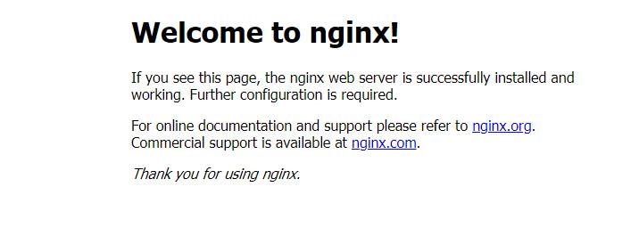 Standard Nginx Landing Page