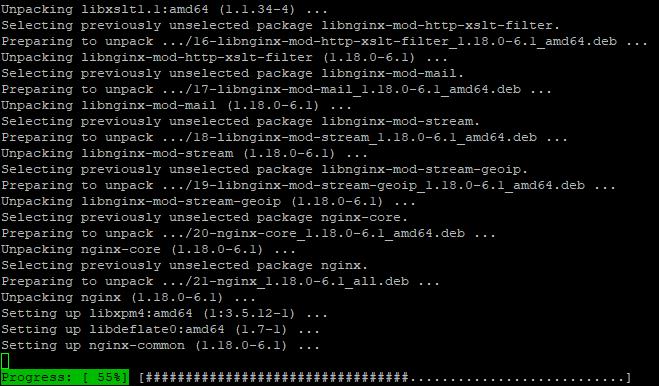 nginx installieren