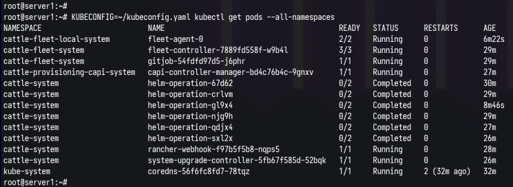 kubernetes Pods über kubectl prüfen
