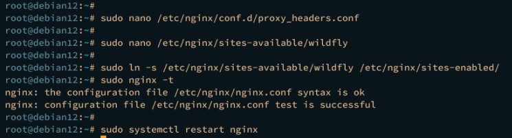 nginx-Einrichtung