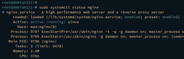 nginx verifizieren