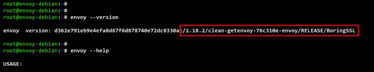 Überprüfung der Envoy-Version
