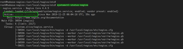 Nagios-Status prüfen