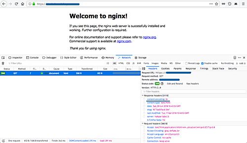 Nginx-Testseite