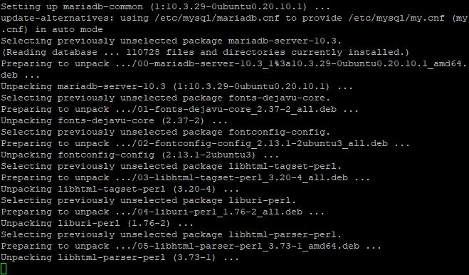 Nginx installieren