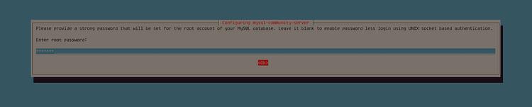 MySQL-Kennwort setzen