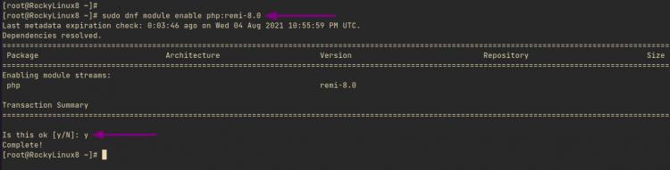 PHP 8.0 Repository aktivieren