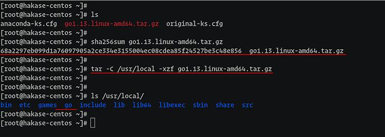 Golang-Archiv auspacken