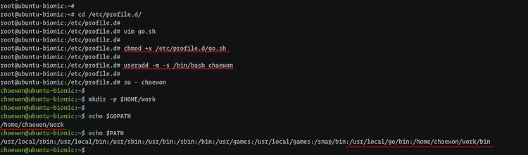 Set-Go-Umgebungsvariable systemweit setzen