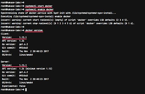 Docker starten und Docker-Version prüfen