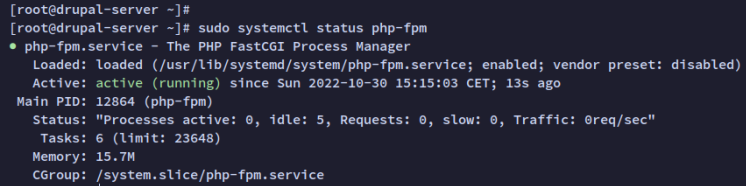 php-fpm prüfen