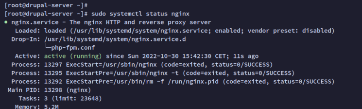 nginx prüfen