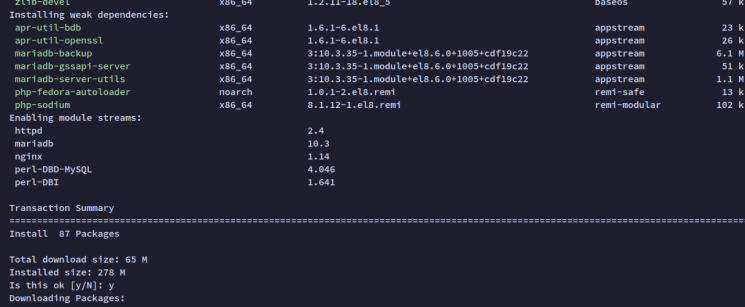 Abhängigkeiten installieren