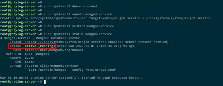 mongodb starten und verifizieren
