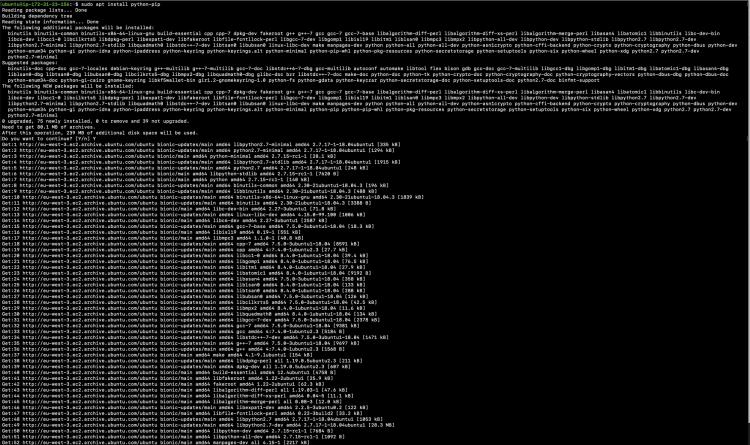 python pip installieren