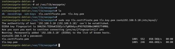 tls-Zertifikate auf den Mariadb-Client kopieren