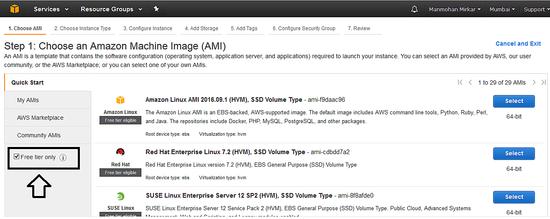 Nur freie Tierinstanzen auswählen