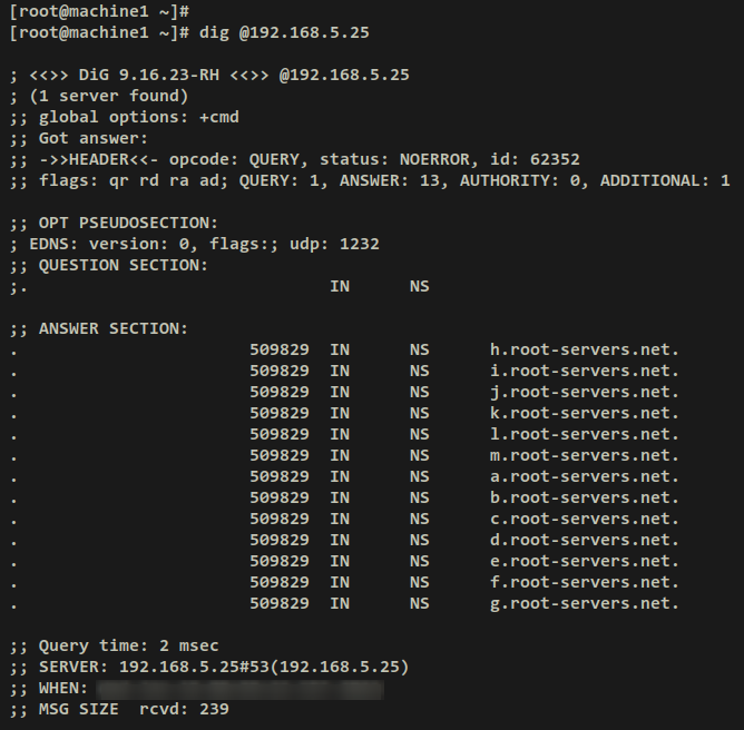 ungebundenen dns-Resolver überprüfen