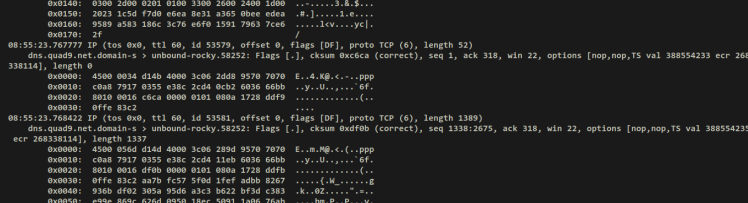 DNS-over-TLS verifizieren tcpdump