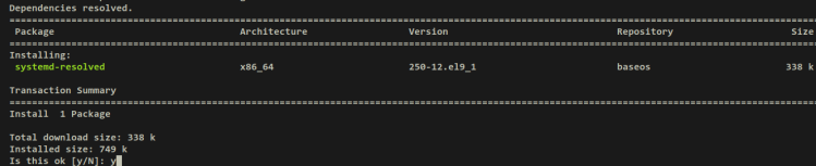 systemd-aufgelöst installieren