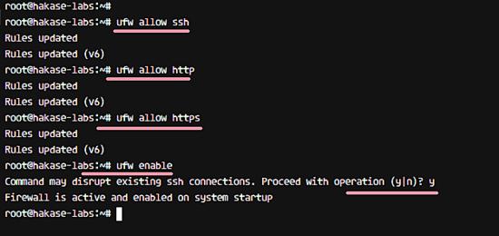 HTTP und HTTPS UFW Firewall Ubuntu erlauben